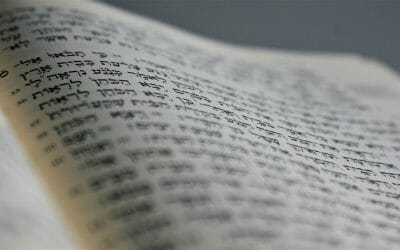 Articles and Presentations